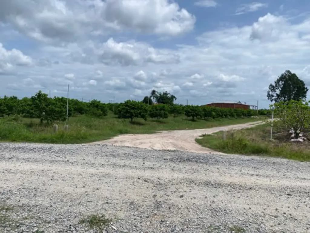 Main-Bán 1724m2 đất thửa đất số 22 tại Ấp Ninh Hưng II, xã Chà Là, huyện Dương Minh Châu, tỉnh Tây Ninh-3