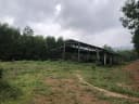 Thumb-Bán đất làm trang trại du lịch, nhà vườn, farmstay tại Đà Nẵng-9