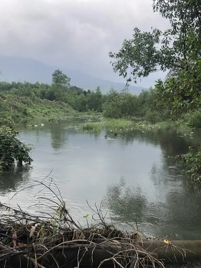 Main-Bán đất làm trang trại du lịch, nhà vườn, farmstay tại Đà Nẵng-5