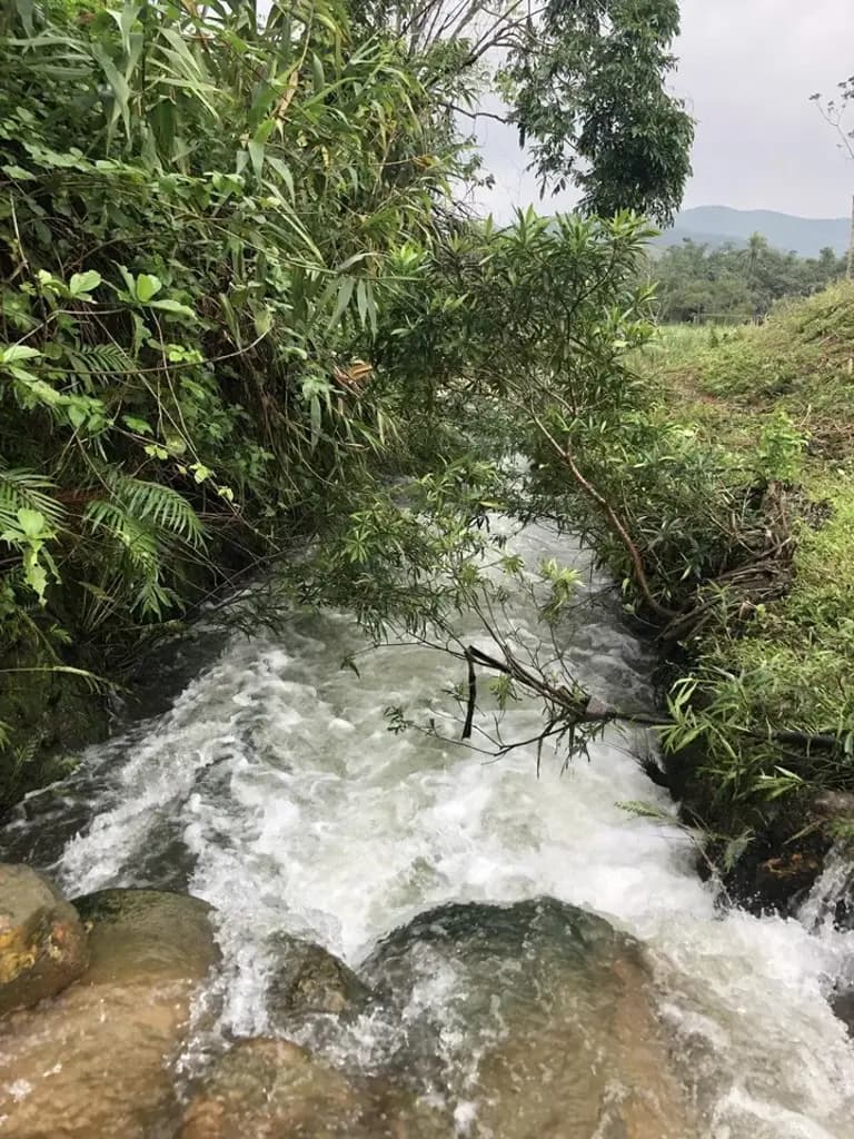 Main-Bán đất làm trang trại du lịch, nhà vườn, farmstay tại Đà Nẵng-7