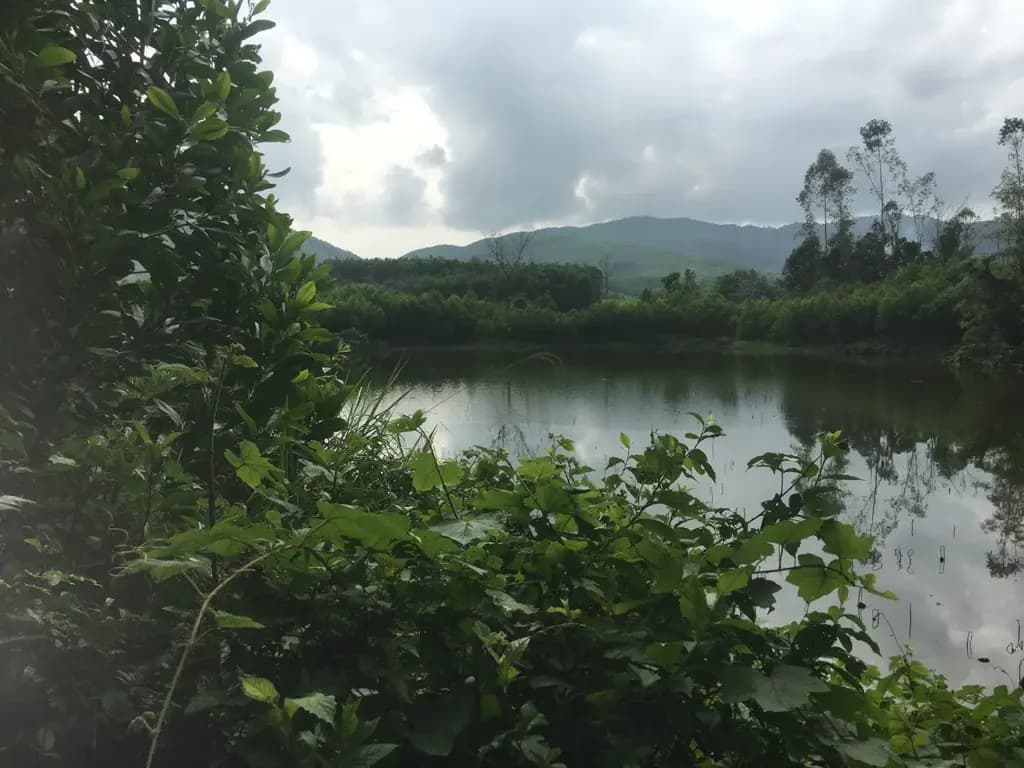 Main-Bán đất làm trang trại du lịch, nhà vườn, farmstay tại Đà Nẵng-1