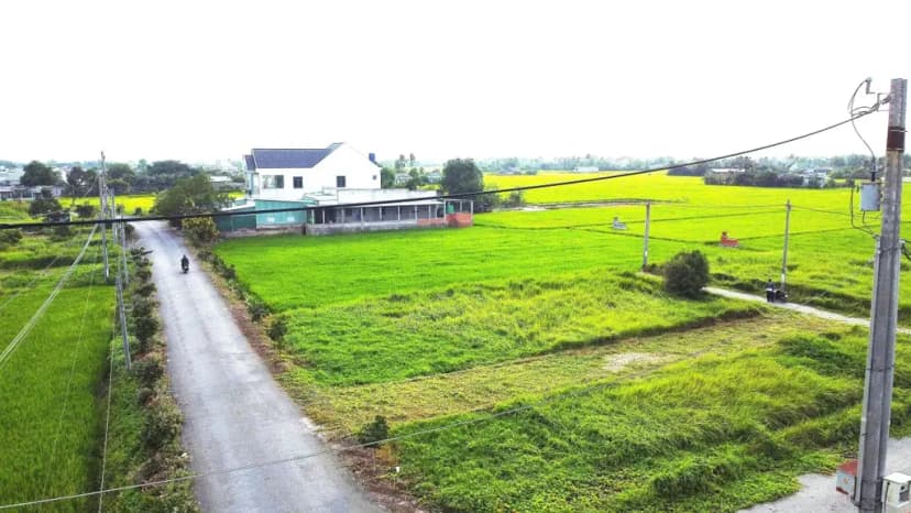 Bán Đất 150m2 có sẵn 150 m2 thổ cư giá 1.65 tỷ tại - Chọn - Xã Mỹ Lệ Huyện Cần Đước Long An
