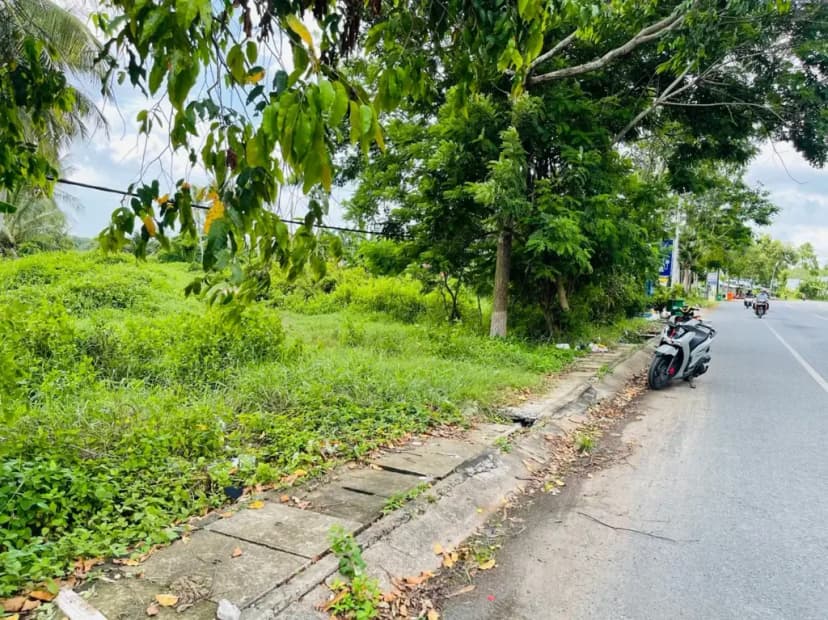 Bán Đất 10000m2 giá 460 triệu/1000M tại Xã An Thạnh Tây Huyện Cù Lao Dung Sóc Trăng