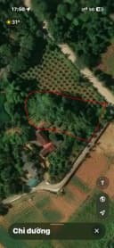 Thumb-Bán Đất 333.3m2 có sẵn 100 m2 thổ cư giá 2.6 tỷ tại Xã Tiên Phong Huyện Ba Vì Hà Nội-3