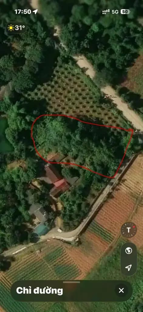 Main-Bán Đất 333.3m2 có sẵn 100 m2 thổ cư giá 2.6 tỷ tại Xã Tiên Phong Huyện Ba Vì Hà Nội-2