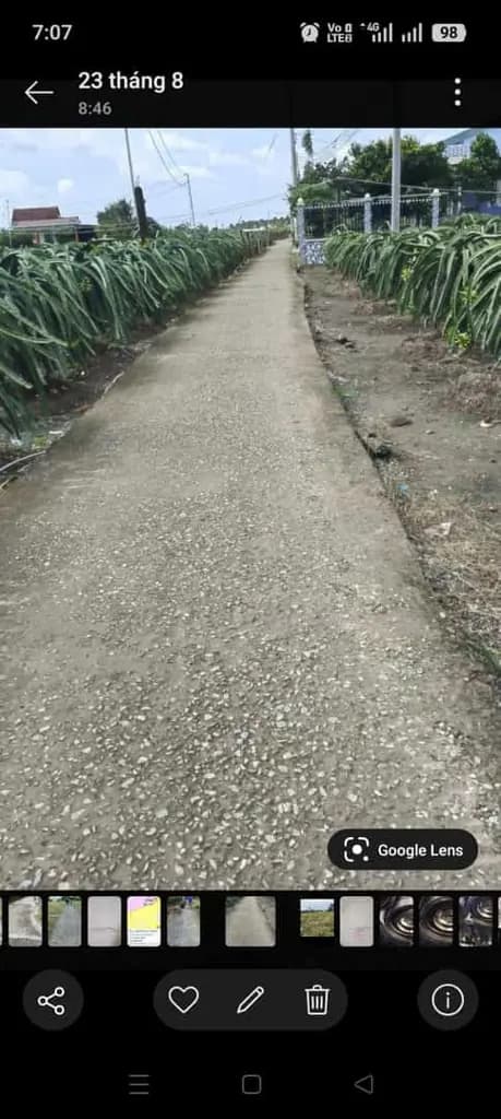 Main-Cần tiền bán gấp 2 lô đất vườn giá rẻ.-4