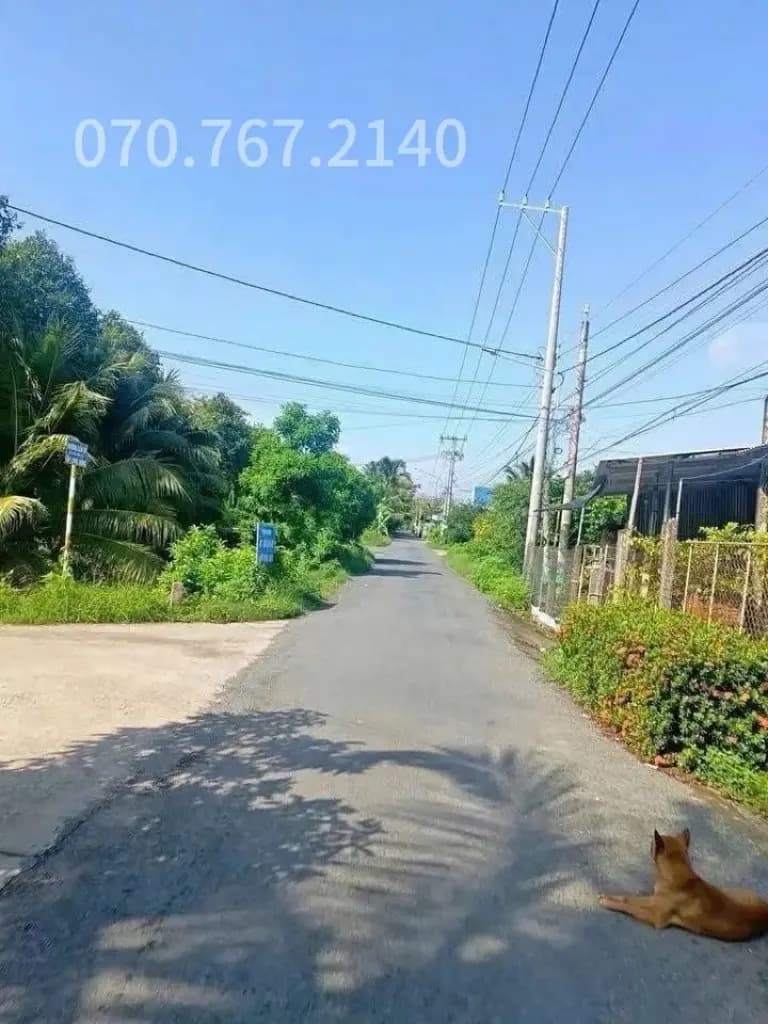 CHÚ 2 CẦN BÁN GẤP NHÀ VƯỜN, CÂY TRÁI