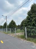 Thumb-Chính chủ bán 1330m2 đang trồng sầu riêng sẵn thổ cư 365tr sổ riêng-2