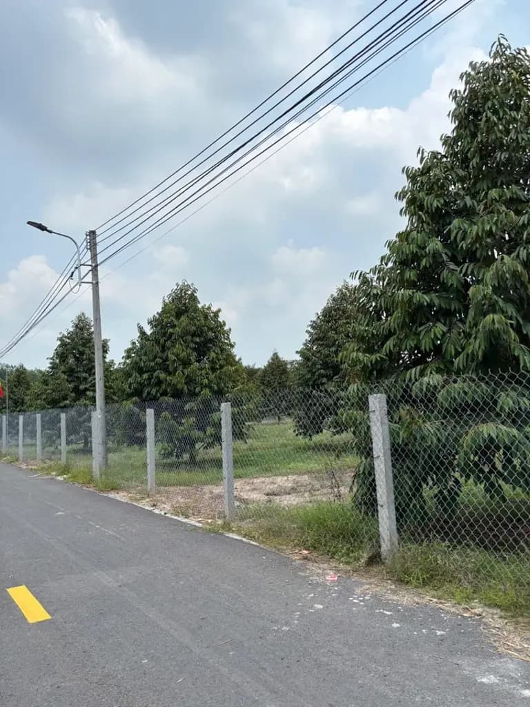 Main-Chính chủ bán 1330m2 đang trồng sầu riêng sẵn thổ cư 365tr sổ riêng-1
