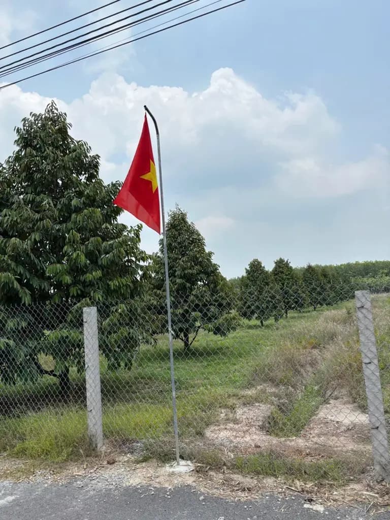 Main-Chính chủ bán 1330m2 đang trồng sầu riêng sẵn thổ cư 365tr sổ riêng-2
