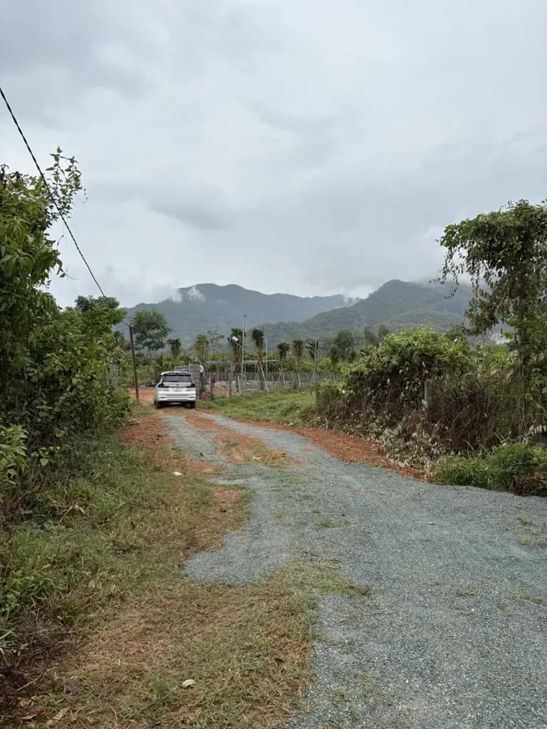 Main-Bán lô đất Suối Hiệp( Suối Tiên cũ), xung quanh nhiều nhà vườn 2031m2-1