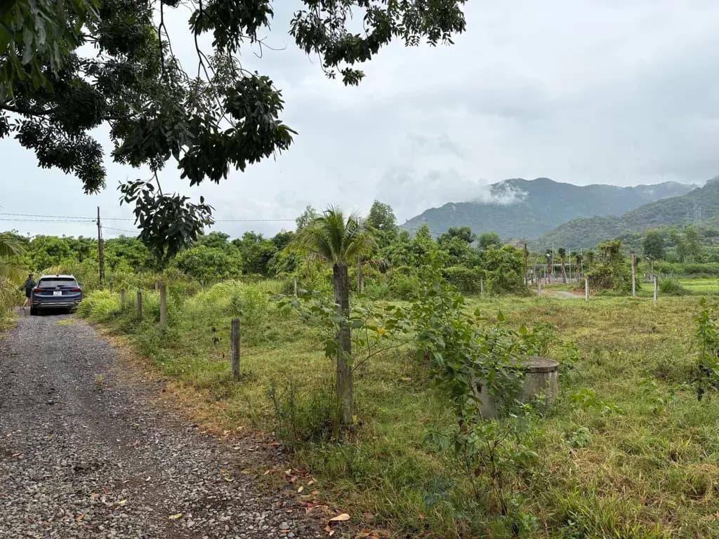 Main-Bán lô đất Suối Hiệp( Suối Tiên cũ), xung quanh nhiều nhà vườn 2031m2-2