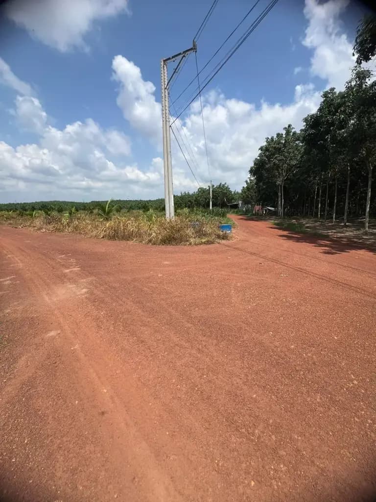 Main-Lô góc 2mt 48m 1000m2/ 385tr tiện làm kho xưởng sẵn điện 3 pha đường ô tô , sổ sẵn-1