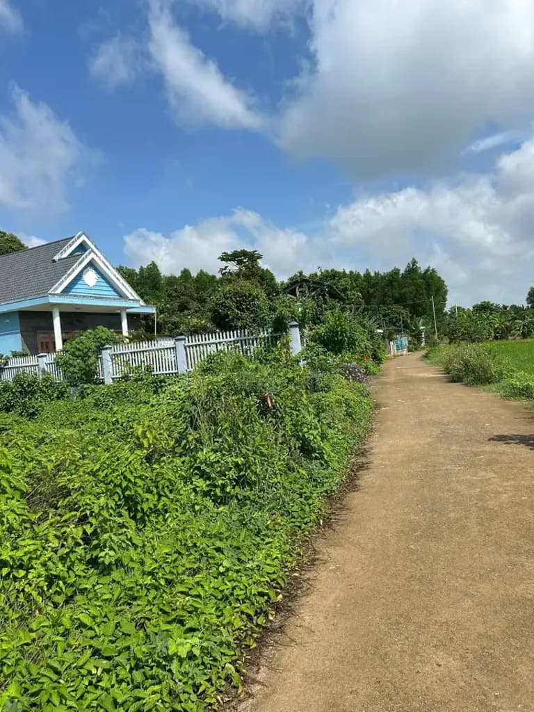 CHÍNH CHỦ CẦN BÁN ĐẤT CHÂU PHA - PHÚ MỸ (BR-VT)- Sát KCN Sonadezi