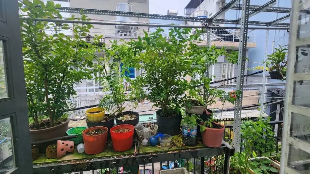 Main-Bán Nhà riêng 52m2 có sẵn 52 m2 thổ cư giá 3.94 tỷ tại Đường Vườn Lài Nối Dài Phường Thạnh Lộc Quận 12 TP. Hồ Chí Minh-5