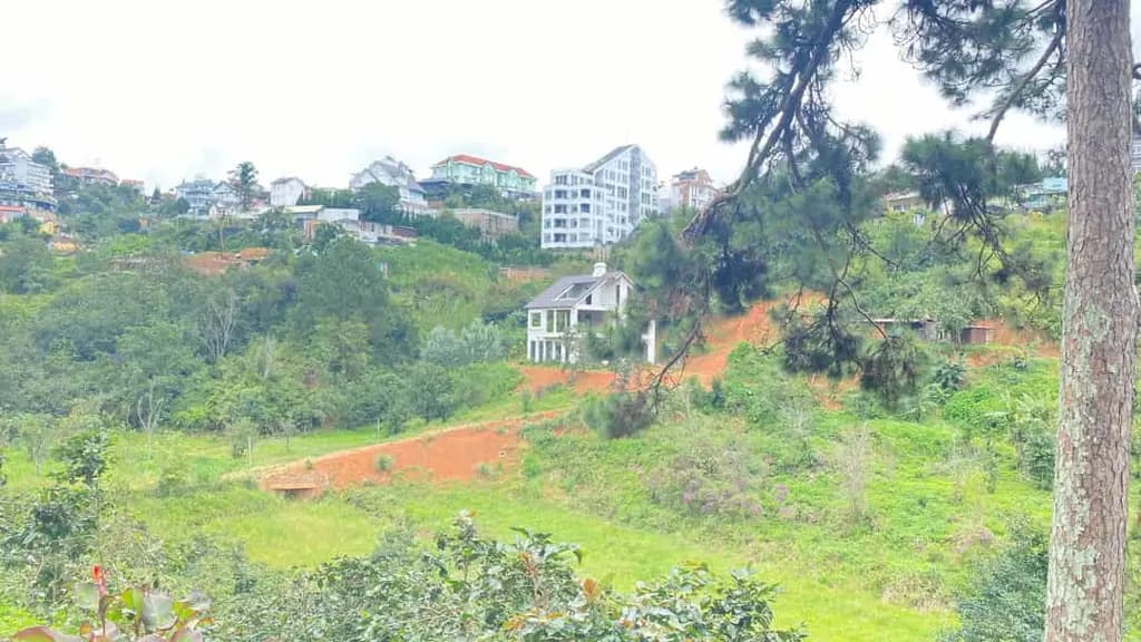 Main-E đang có 8.000m2 hẻm khe sanh, p10 - đà lạt, lâm đồng-1