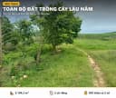 Thumb-BÁN ĐẤT NINH HÒA DƯỚI 1 TỶ – 5.194,3M², 2 SỔ RIÊNG, GIÁP SUỐI – TỔNG GIÁ 950 TRIỆU.-5