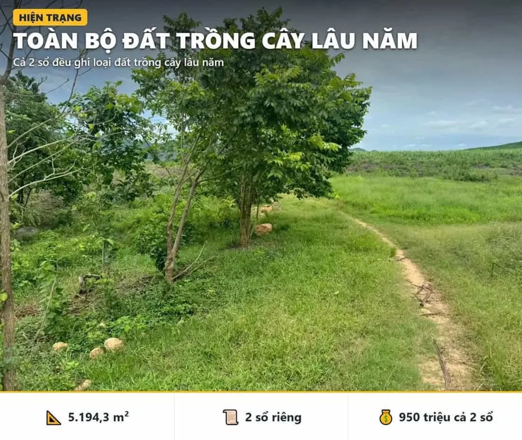 Main-BÁN ĐẤT NINH HÒA DƯỚI 1 TỶ – 5.194,3M², 2 SỔ RIÊNG, GIÁP SUỐI – TỔNG GIÁ 950 TRIỆU.-4