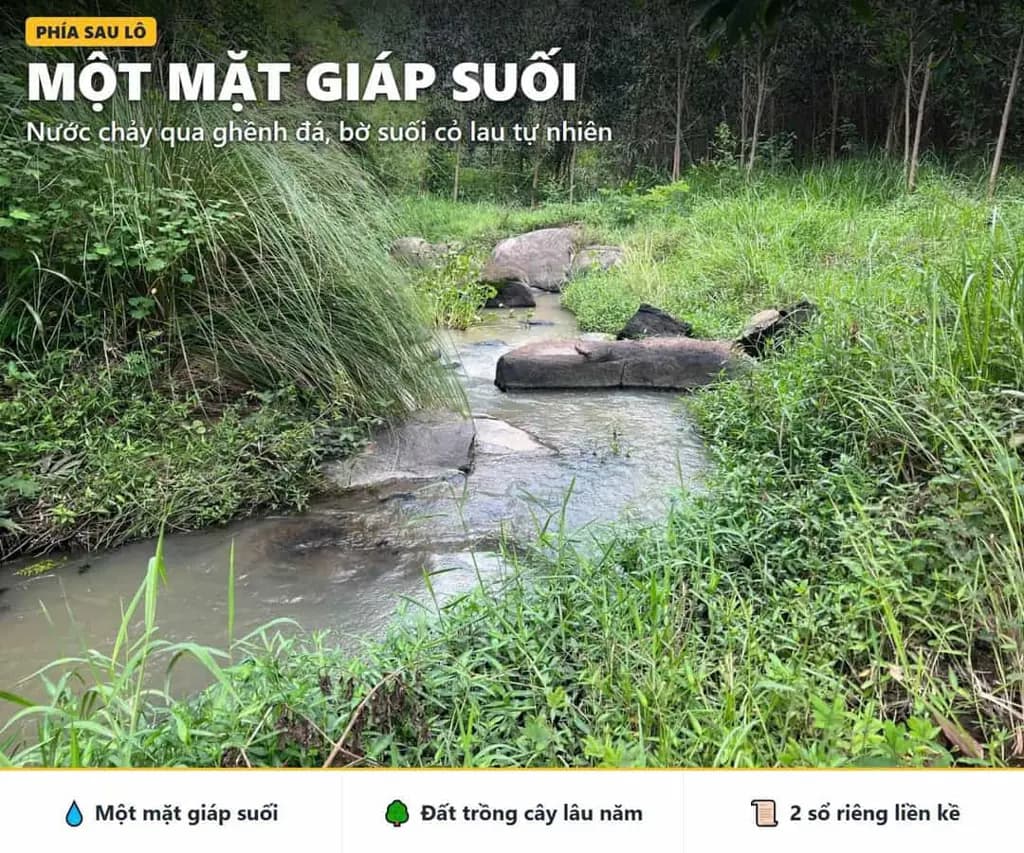 Main-BÁN ĐẤT NINH HÒA DƯỚI 1 TỶ – 5.194,3M², 2 SỔ RIÊNG, GIÁP SUỐI – TỔNG GIÁ 950 TRIỆU.-2