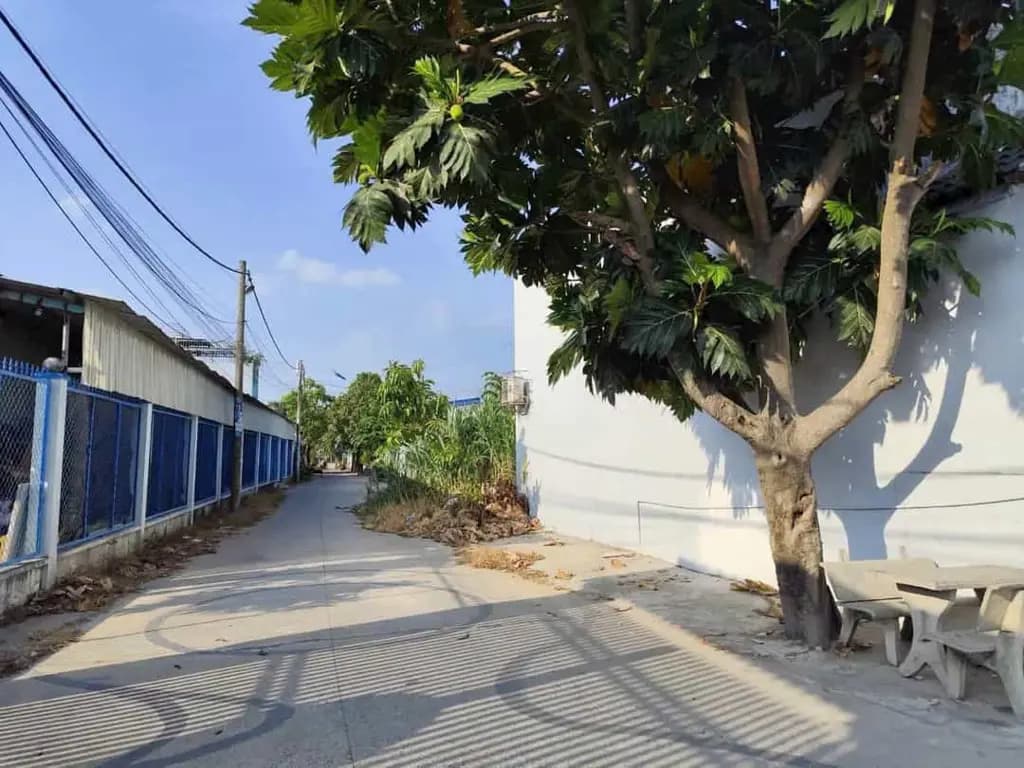 Main-Bán 2 lô đất siêu dài đường Nguyễn Văn Bứa, gần ngã ba Giòng, KT5x31m, giá 2,55 Tỷ-2