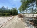 Thumb-Bán Đất 1350m2 có sẵn 450 m2 thổ cư giá 1.25 tỷ tại Xã Nam Cửa Việt Xã Triệu Vân Huyện Triệu Phong Quảng Trị-9