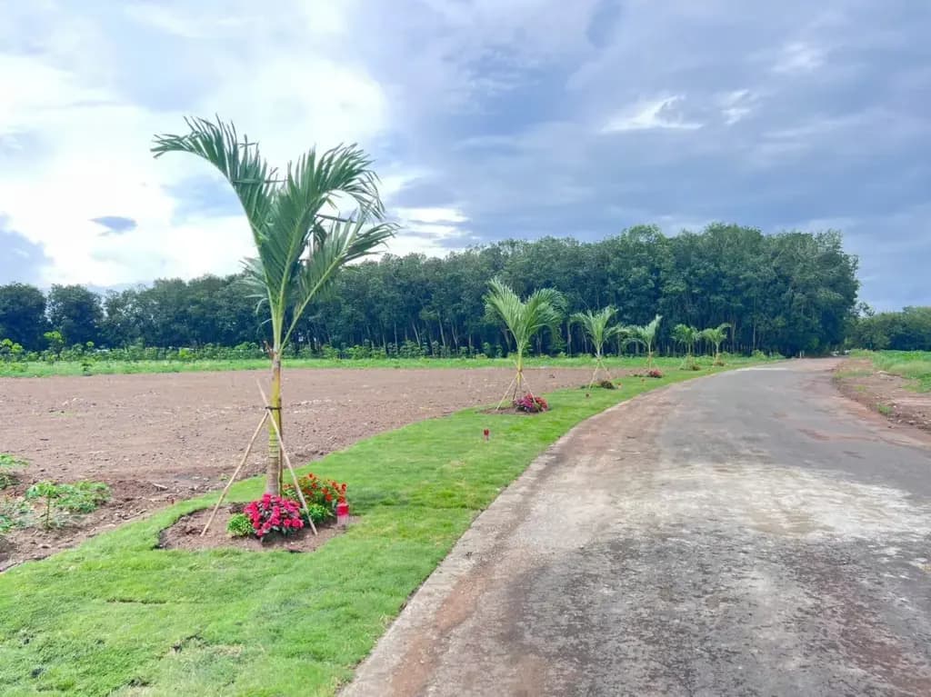 Main-Bán Đất 120m2 có sẵn 100 m2 thổ cư giá 135 triệu tại - Chọn - Xã Minh Lập Thị xã Chơn Thành Bình Phước-0