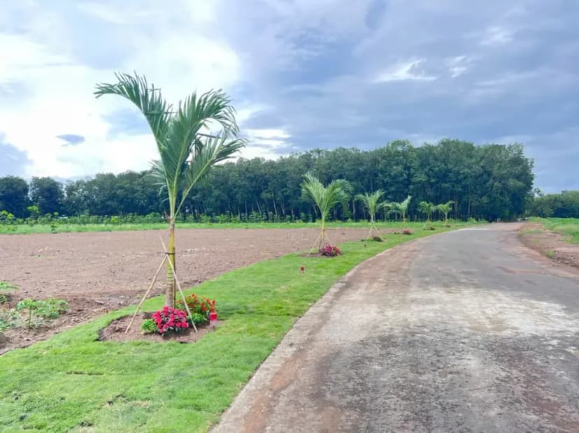 Bán Đất 120m2 có sẵn 100 m2 thổ cư giá 135 triệu tại - Chọn - Xã Minh Lập Thị xã Chơn Thành Bình Phước