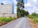 Thumb-Bán Đất 500m2 giá 580 triệu tại - Chọn - Xã Thạnh Lợi Huyện Bến Lức Long An-4