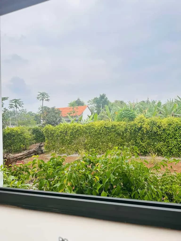 Main-Bỏ Phố Về Vườn - Biệt Thự Sinh Thái Greenery House Long Tân Đang Chờ Bạn!-2