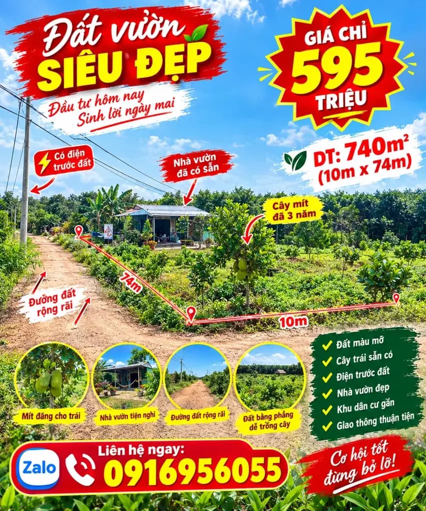 Main-Bán Đất nhà vườn mít HỒ Chí Minh DT740m2 giá 595 triệu sổ sẳn-0