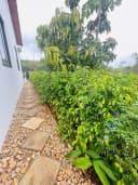 Thumb-Bỏ Phố Về Vườn - Biệt Thự Sinh Thái Greenery House Long Tân Đang Chờ Bạn!-1