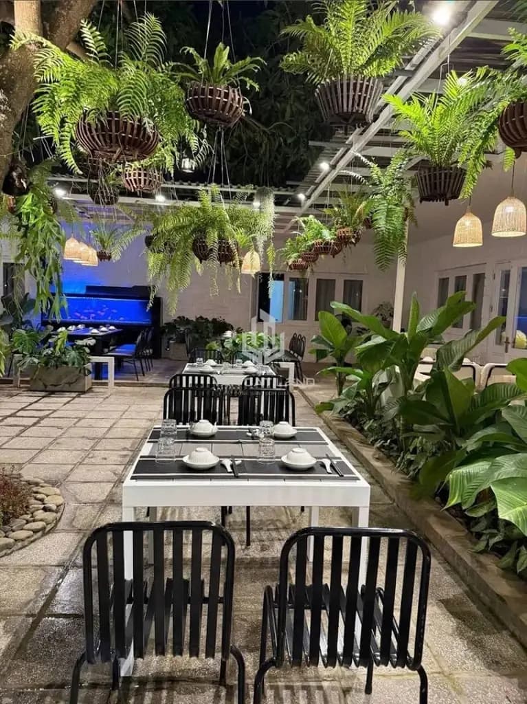Main-🔥 CHO THUÊ BIỆT THỰ SÂN VƯỜN PHƯỜNG 1 – 1.300M² – NGANG 40M – HỒ BƠI – 40 TRIỆU/THÁNG 🔥-5