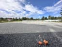 Thumb-Cho thuê Kho Bãi từ 1000m2 - 6000m2 giá 60 triệu Gần Cảng Cái Cui Xây Dựng Theo Nhu Cầu-5