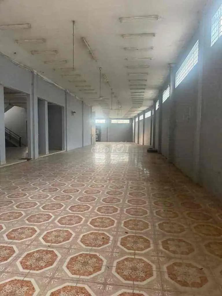 Main-Cho thuê mặt bằng đường CMT8, Thủ Dầu Một - Diện tích đất : 1000m2,-2