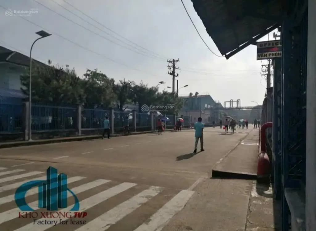 Main-Cho thuê xưởng 3000m2 , 5000 m2 Khánh Bình , Tân Uyên , PCCC tự động ,g.tờ đầy đủ-4