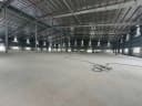 Thumb-Cho thuê xưởng 11500m2.Bàu Bàng Bình Dương.Giá 60k/ m2-3