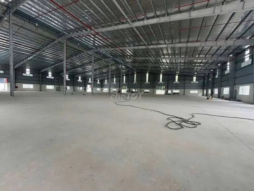 Main-Cho thuê xưởng 11500m2.Bàu Bàng Bình Dương.Giá 60k/ m2-2