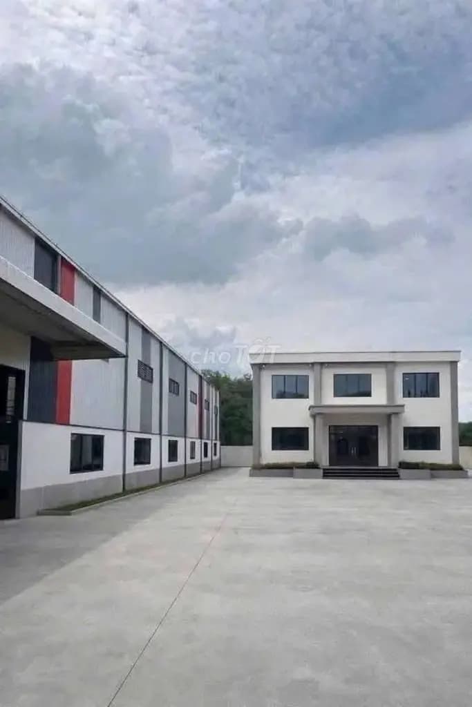 Main-Cho thuê xưởng 11500m2.Bàu Bàng Bình Dương.Giá 60k/ m2-3