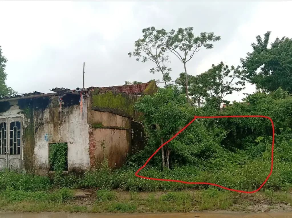 Main-Bán Đất 179m2 có sẵn 179 m2 thổ cư giá 1.3 tỷ tại - Chọn - Phường Đông Tiến Thanh Hóa-3