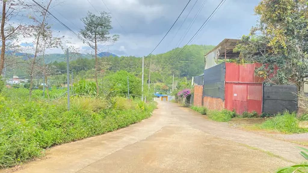 Main-Bán hơn 4 sào gần giáp resot đôi dép hiệp an - ven đà lạt-1
