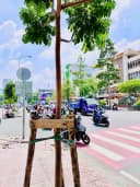 Thumb-❇️❇️ Cho Thuê Nhà Mặt Tiền: 45 Nguyễn Thái Học - Quận 1 - 7.5x20m, 3 tầng-8