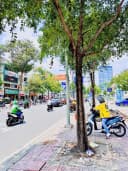 Thumb-❇️❇️ Cho Thuê Nhà Mặt Tiền: 45 Nguyễn Thái Học - Quận 1 - 7.5x20m, 3 tầng-7