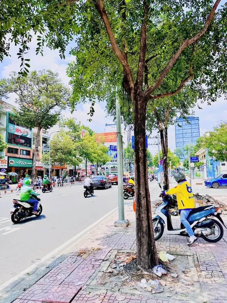 Main-❇️❇️ Cho Thuê Nhà Mặt Tiền: 45 Nguyễn Thái Học - Quận 1 - 7.5x20m, 3 tầng-6