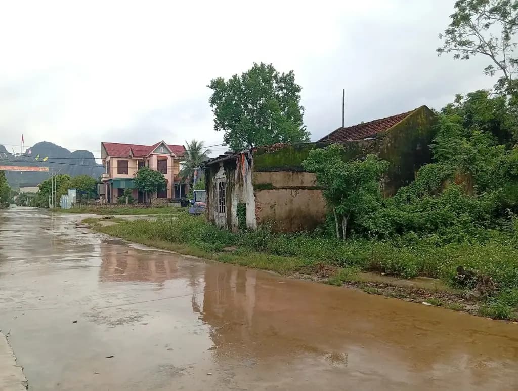 Main-Bán Đất 179m2 có sẵn 179 m2 thổ cư giá 1.3 tỷ tại - Chọn - Phường Đông Tiến Thanh Hóa-1