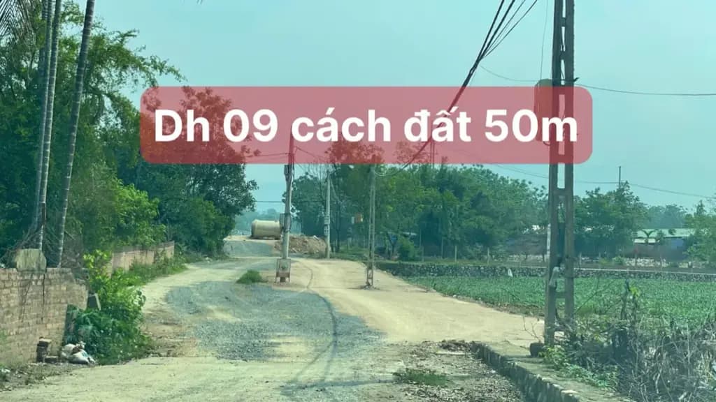 Main-Bán Đất 88.5m2 thổ cư giá 2.1 tỷ Phú Cát Huyện Quốc Oai Hà Nội-2
