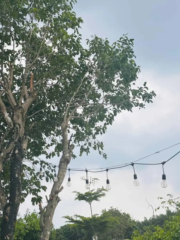 CHÍNH CHỦ BÁN ĐẤT BIỆT THỰ VƯỜN 400M² GREENERGY HOUSE ĐẤT ĐỎ - 3.5 TỶ
