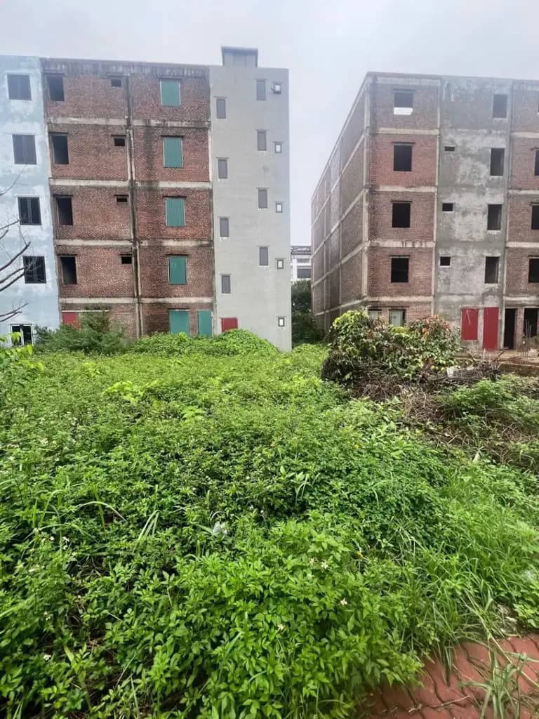 Main-Bán Đất 100m2 có sẵn 100 m2 thổ cư giá 1.6 tỷ tại Xã Hạ Bằng Huyện Thạch Thất Hà Nội-3