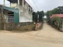 Thumb-Bán Đất 103m2 thổ cư giá 2.75 tỷ tại Tân Xã Khu Công Nghệ Cao Hòa Lạc-2