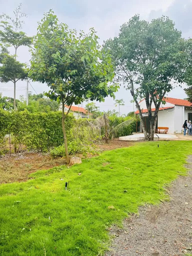 QUỸ ĐẤT VÀNG 400M² - LÝ TƯỞNG KINH DOANH HOMESTAY NGHỈ DƯỠNG CẬN BIỂN
