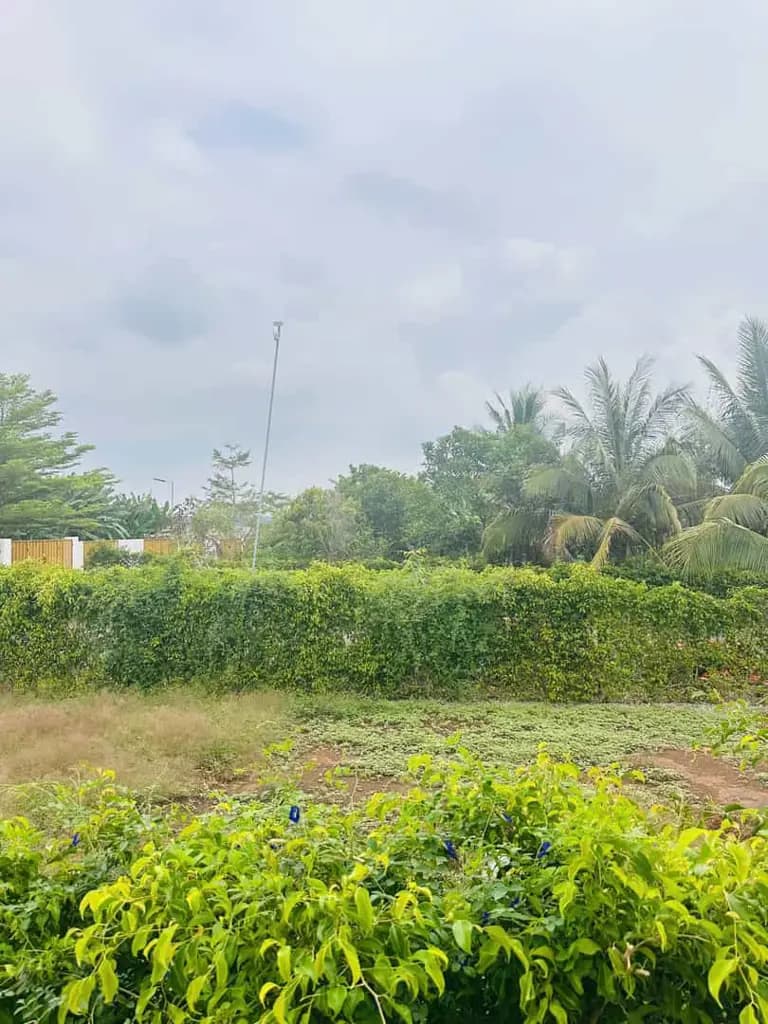 ĐẤT ĐẸP ĐƯỜNG NHỰA 12M – TIỆN ÍCH TRONG TẦM TAY – KHÔNG GIAN SỐNG LÝ TƯỞNG